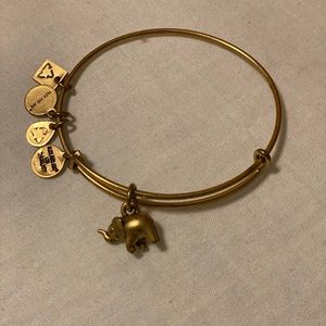 Elephant Alex and Ani